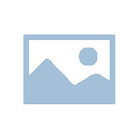 粤港开联姻白天鹅开发南海和顺项目